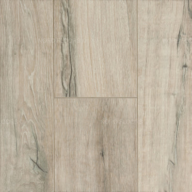 Toucan – Embossed In Register – TF6010 – 12.3mm Laminate Flooring